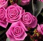 Buchet roz